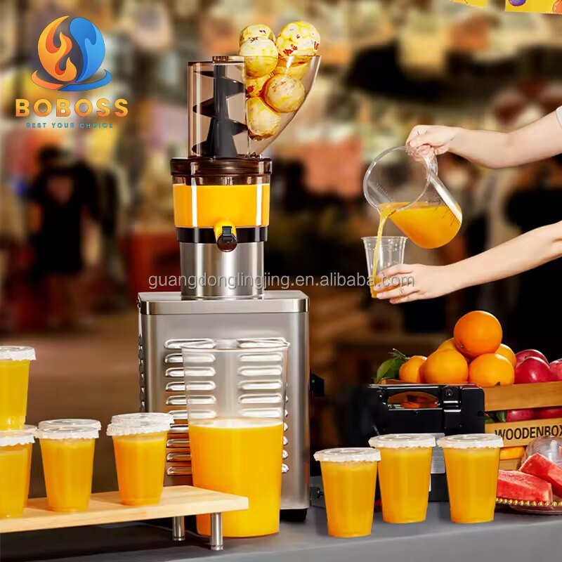 Slow Masticating Juicer